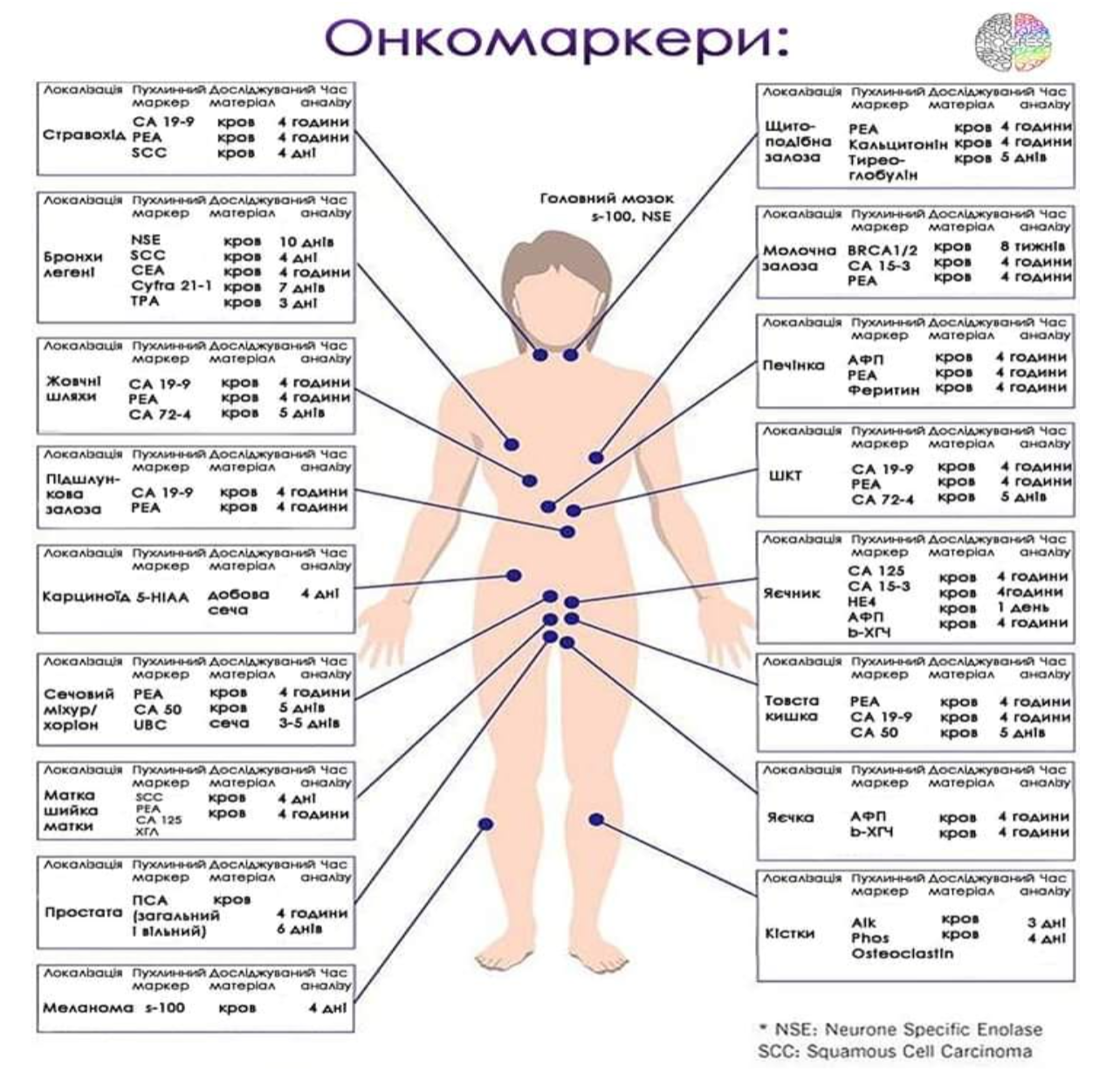 Схема онкомаркерів